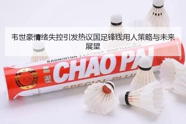 韦世豪情绪失控引发热议国足锋线用人策略与未来展望